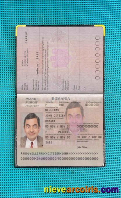 Romania pass 2013-present photolook